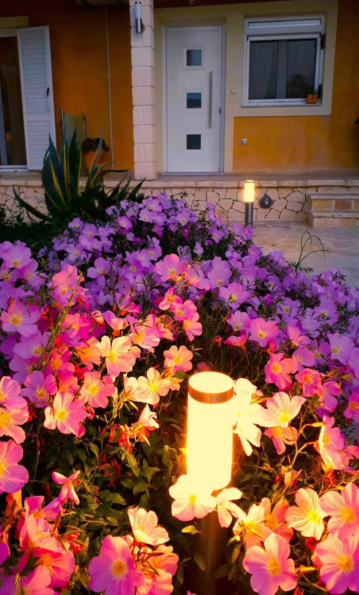 Iris Apartment Near Corfu Town Kontokali Eksteriør bilde